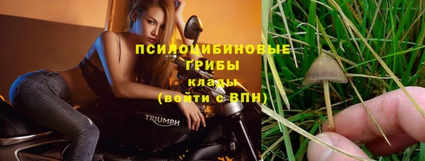 амф Магас